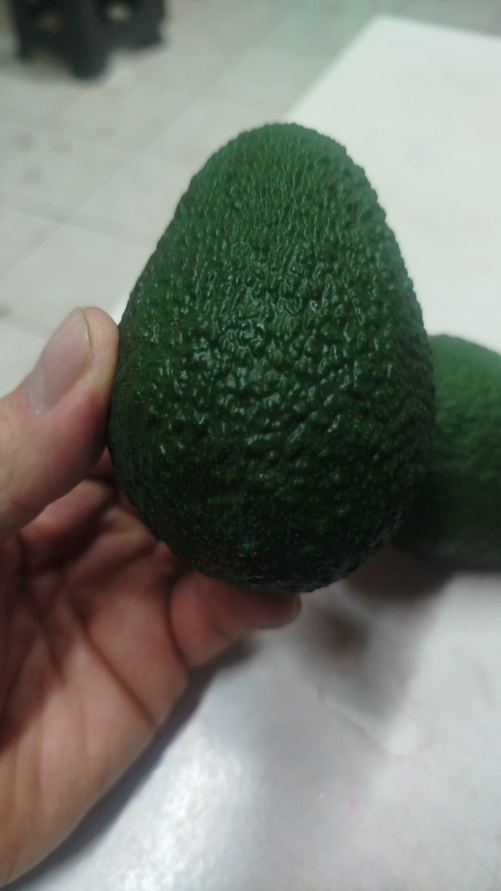 Avokado has meyve